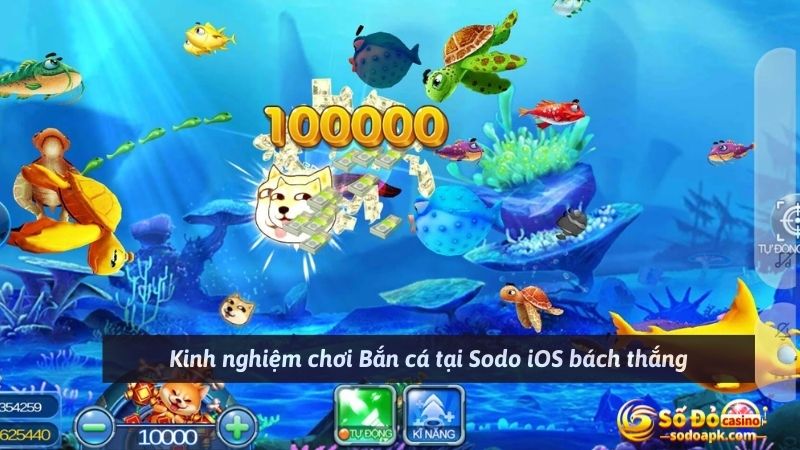 Kinh nghiệm chơi Bắn cá tại Sodo iOS bách thắng